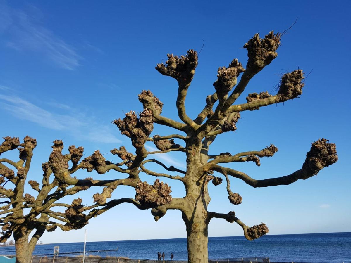 Ferienwohnung "Luv" Grube Ostsee Exterior foto